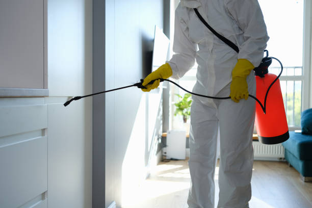Best Residential Mold Removal  in Stevenson, WA